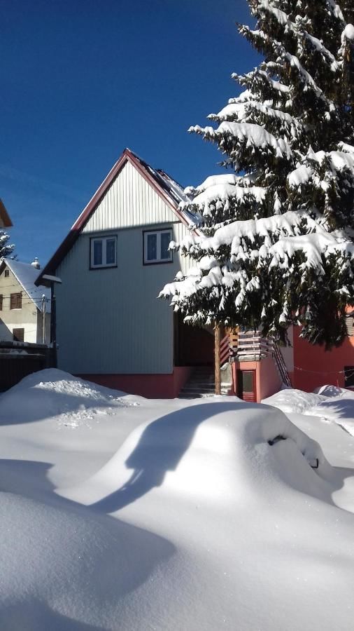 Апартаменты Apartment Home Popovic Жабляк-36