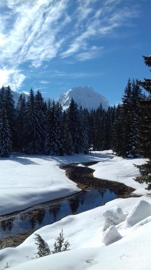 Апартаменты Apartment Home Popovic Жабляк-41