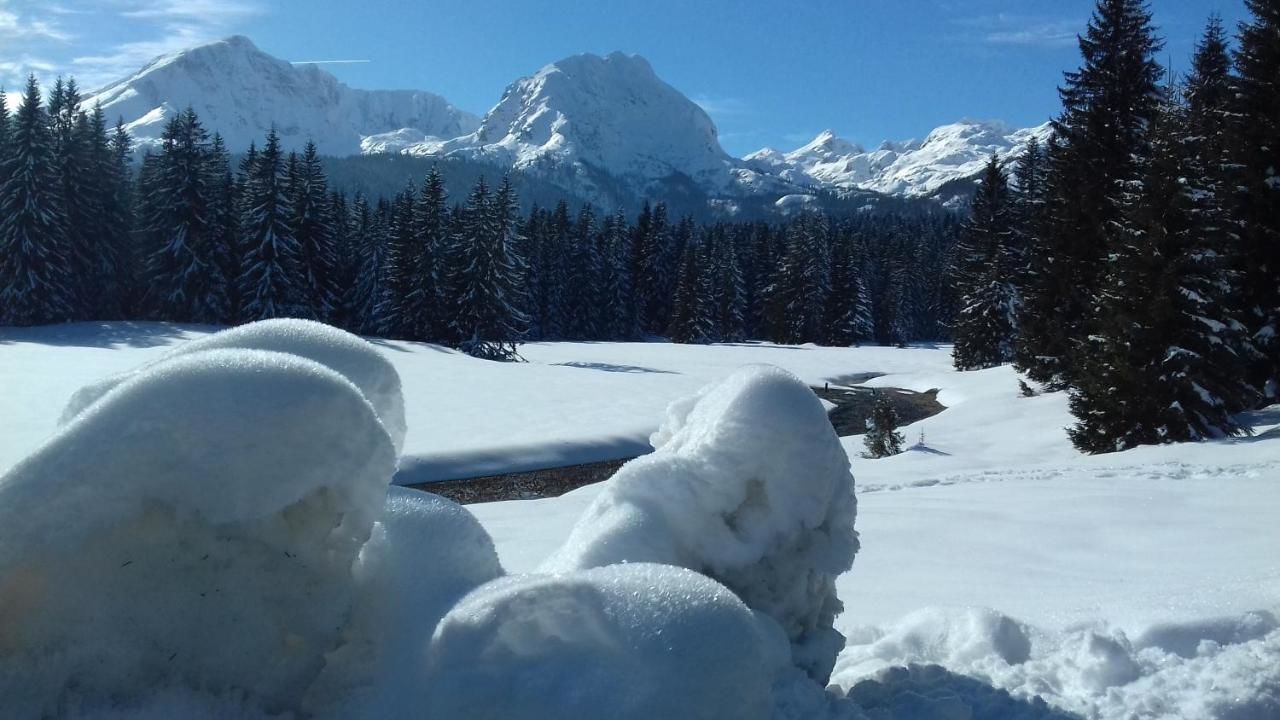 Апартаменты Apartment Home Popovic Жабляк-42