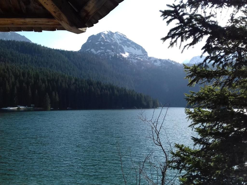 Апартаменты Apartment Home Popovic Жабляк-60