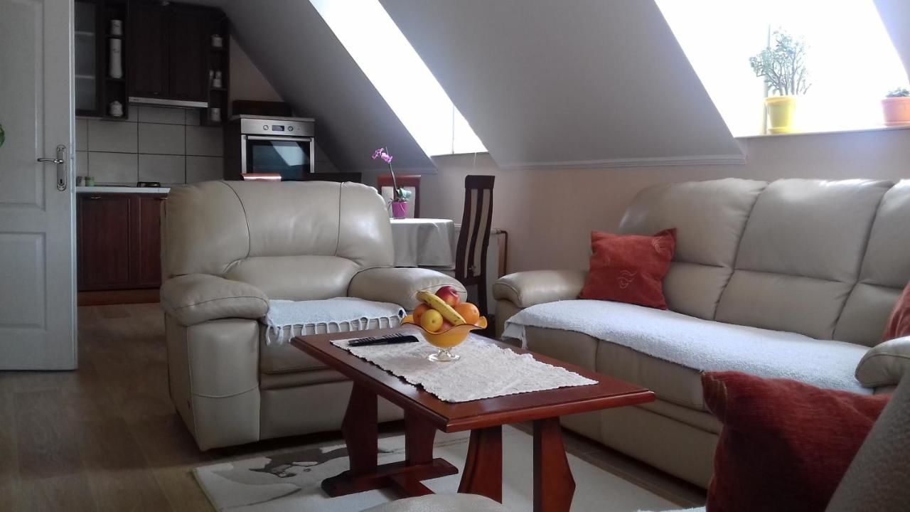 Апартаменты Apartment Home Popovic Жабляк-9