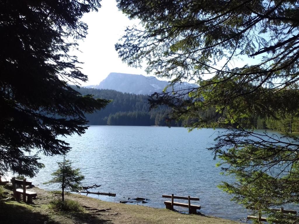 Апартаменты Apartment Home Popovic Жабляк-66