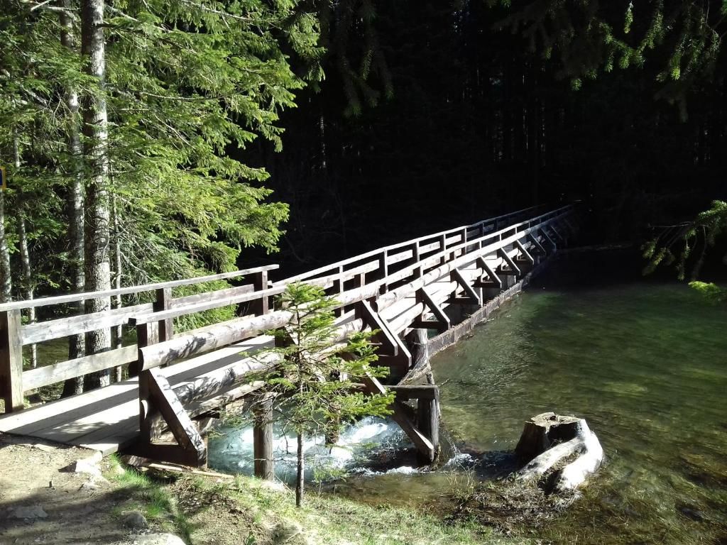 Апартаменты Apartment Home Popovic Жабляк-69