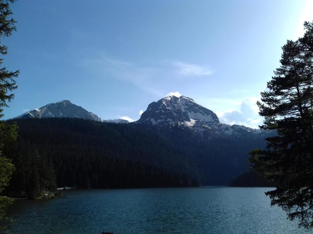 Апартаменты Apartment Home Popovic Жабляк-72