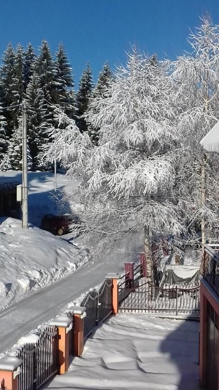 Апартаменты Apartment Home Popovic Жабляк-80