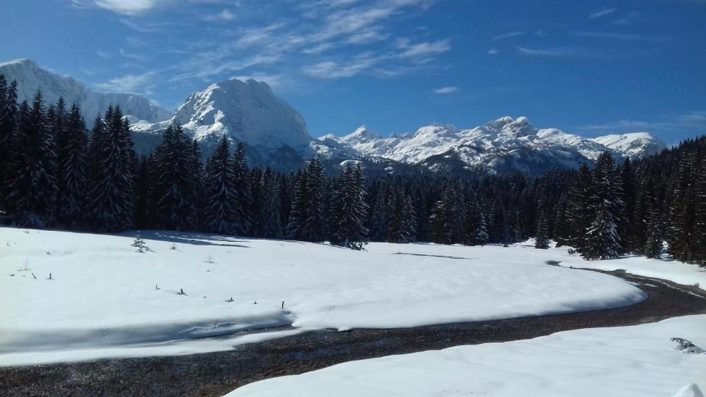 Апартаменты Apartment Home Popovic Жабляк-89