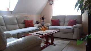 Апартаменты Apartment Home Popovic Жабляк Апартаменты-4