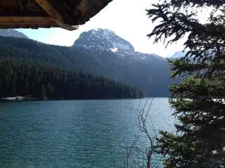 Апартаменты Apartment Home Popovic Жабляк Апартаменты-44