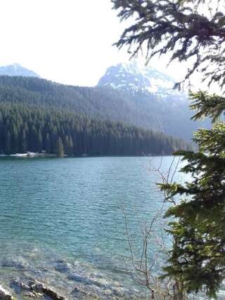 Апартаменты Apartment Home Popovic Жабляк Апартаменты-58