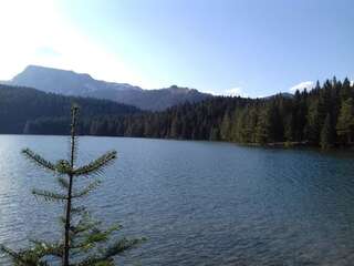 Апартаменты Apartment Home Popovic Жабляк Апартаменты-61