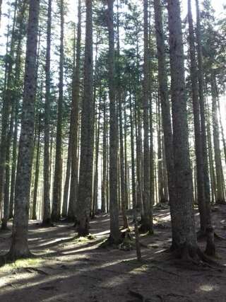 Апартаменты Apartment Home Popovic Жабляк Апартаменты-64