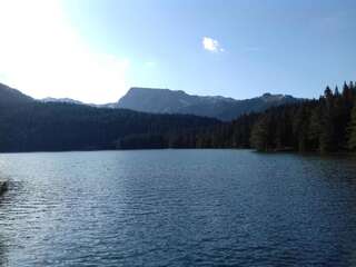 Апартаменты Apartment Home Popovic Жабляк Апартаменты-65