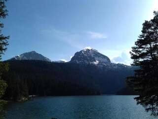 Апартаменты Apartment Home Popovic Жабляк Апартаменты-69