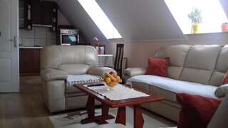 Апартаменты Apartment Home Popovic Жабляк Апартаменты-95