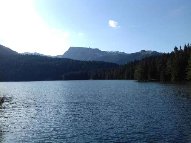 Апартаменты Apartment Home Popovic Жабляк-67