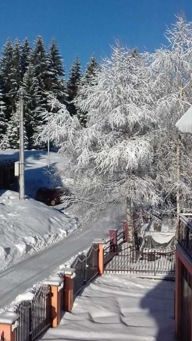 Апартаменты Apartment Home Popovic Жабляк-79