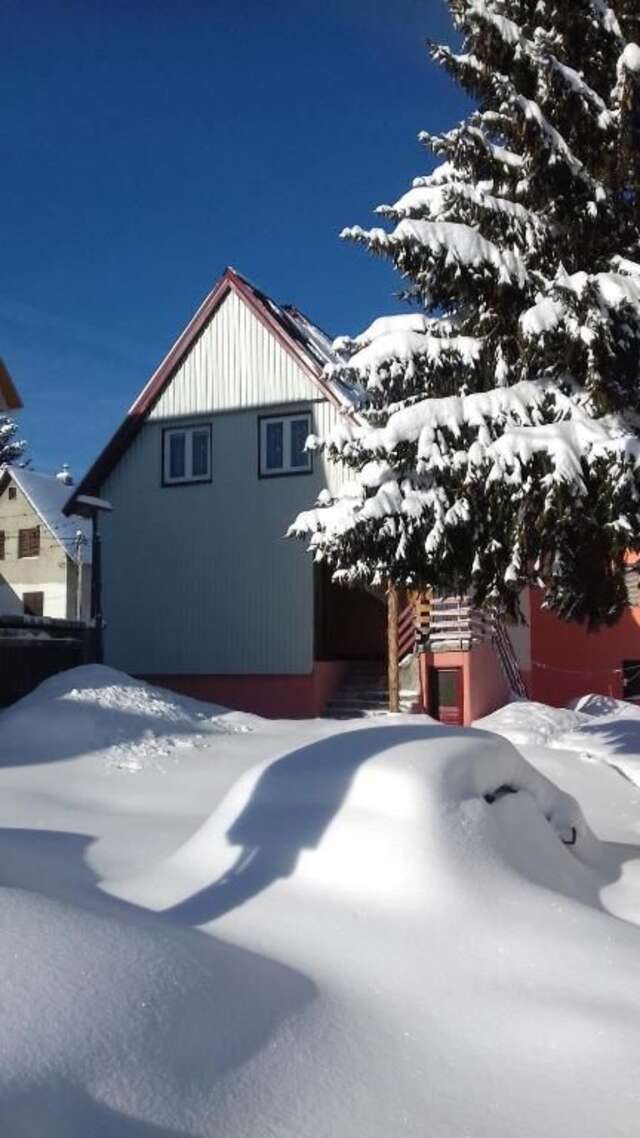 Апартаменты Apartment Home Popovic Жабляк-83