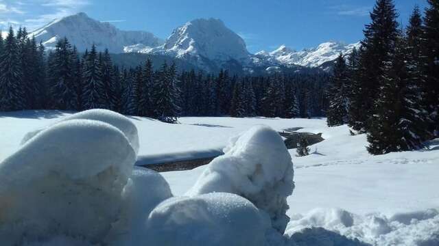 Апартаменты Apartment Home Popovic Жабляк-86