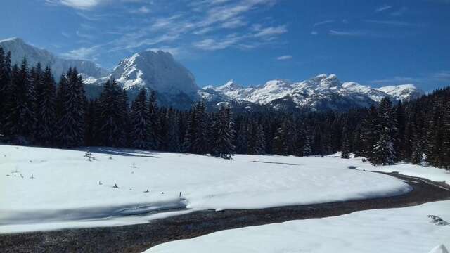 Апартаменты Apartment Home Popovic Жабляк-88