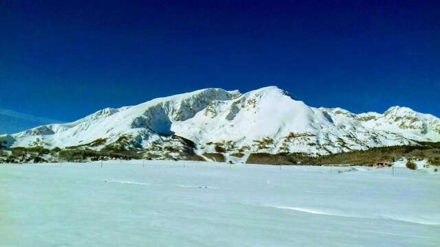 Апартаменты Apartment Home Popovic Жабляк-89